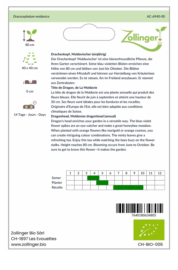 Sachet recto Tête de Dragon, de La Moldavie