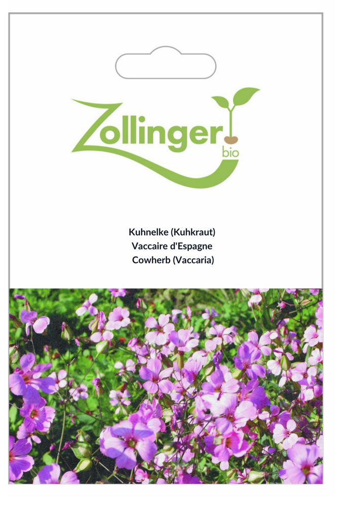 Sachet recto Vaccaire d'Espagne