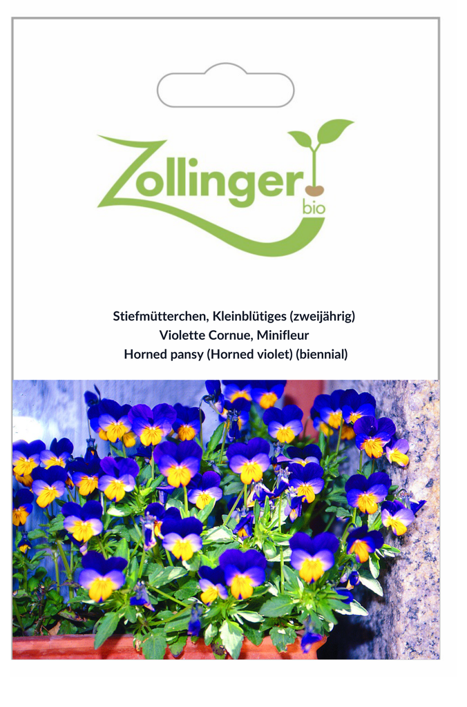 Sachet recto Violette Cornue, Minifleur