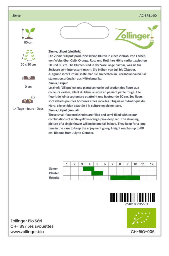 Sachet recto Zinnia, Lilliput