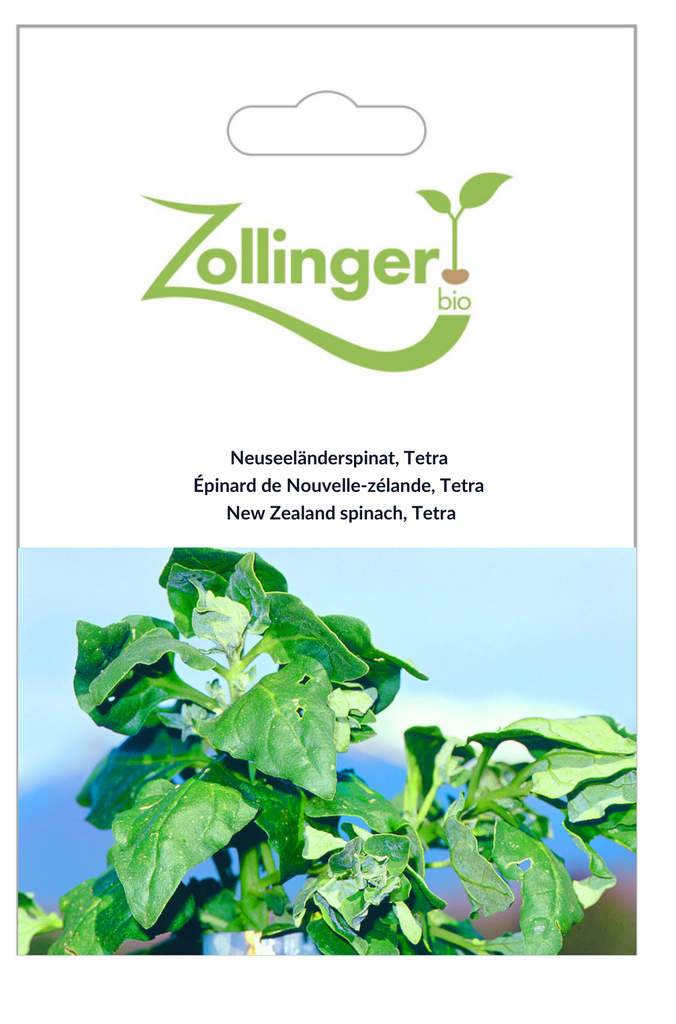 Sachet recto Épinard de Nouvelle-zélande, Tetra