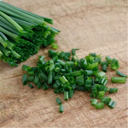 Etiquettes_bulbes d'été_Ecobulbs.pdf (4).webp