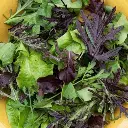 [32050] Mesclun Zollinger (Portion).webp