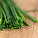 E23037_CibouletteChine-4.webp