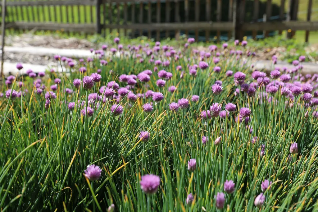 4J5A1231.webp
