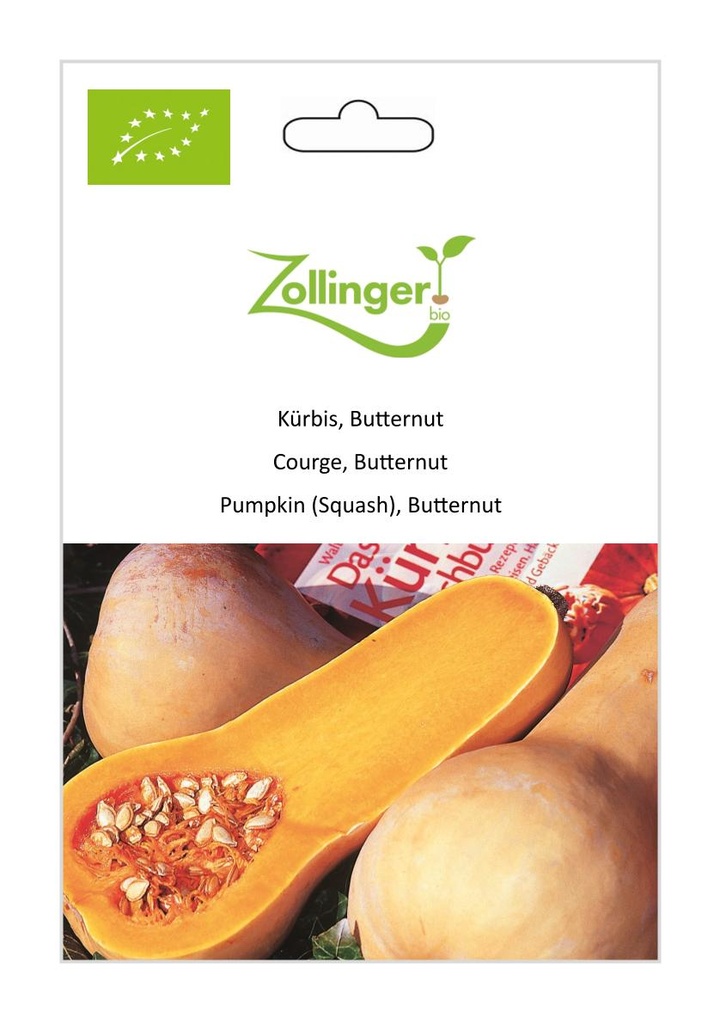 Courge Butternut – JMF partenariat