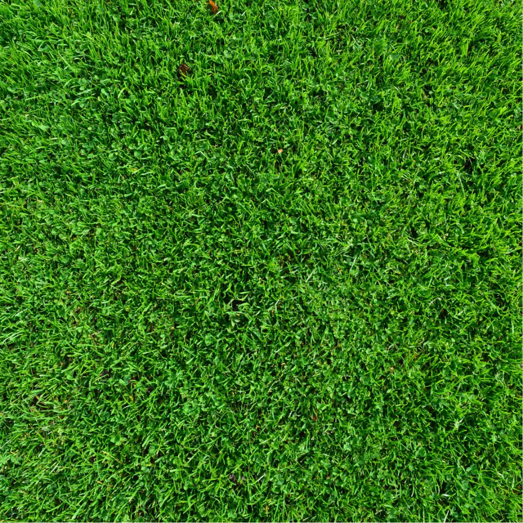 Zollinger Product Photos (1).webp