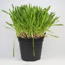 Zollinger Product Photos (6).webp