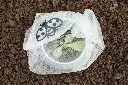 7158g-insektenschutztaschen-gemuese-anwendung-mit-schneckenstopp-andermatt-biogarten.webp