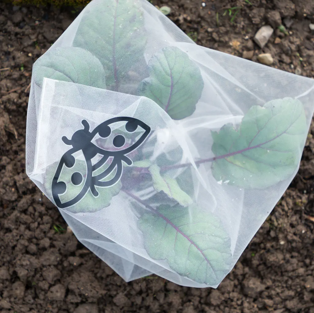 7158g-insektenschutztaschen-gemuese-ohne-schneckenstopp-andermatt-biogarten.webp