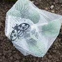 7158g-insektenschutztaschen-gemuese-ohne-schneckenstopp-andermatt-biogarten.webp