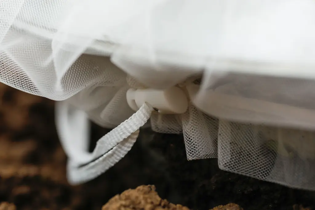 7158g-insektenschutztaschen-gemuese-anwendung-mit-schneckenstopp-detail-andermatt-biogarten.webp