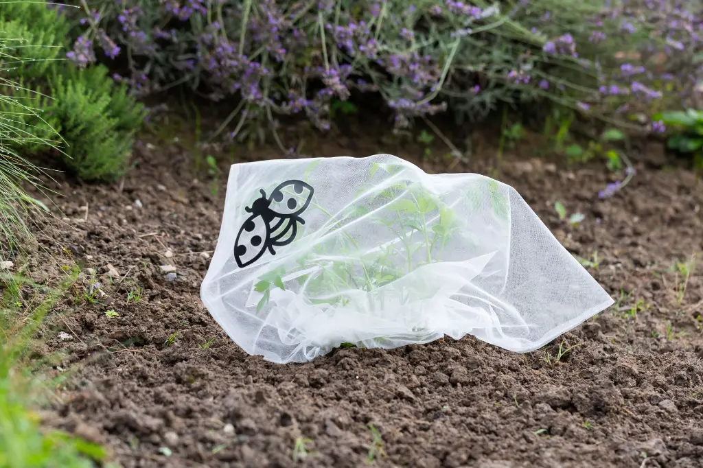 7159g-insektenschutztaschen-stauden-anwendung-ohne-schneckenstopp-andermatt-biogarten.webp