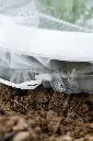 7159g-insektenschutztaschen-stauden-anwendung-mit-schneckenstopp-detail-andermatt-biogarten.webp