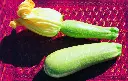 [AA-1942-00] Courgette, Sultan (Portion).webp