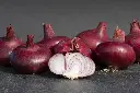 [AA-4011-00] Oignon, Rouge de Wädenswil Sélection Z (Portion).webp