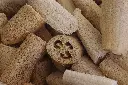 Courge éponge (Luffa), Spongy.webp
