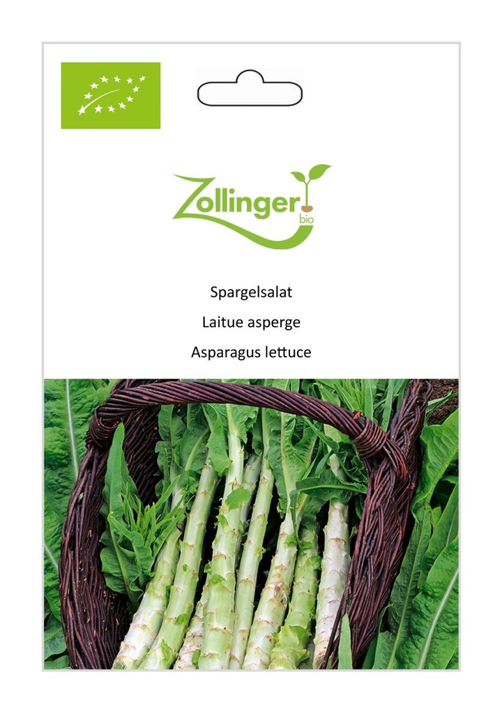 Laitue asperge sachet