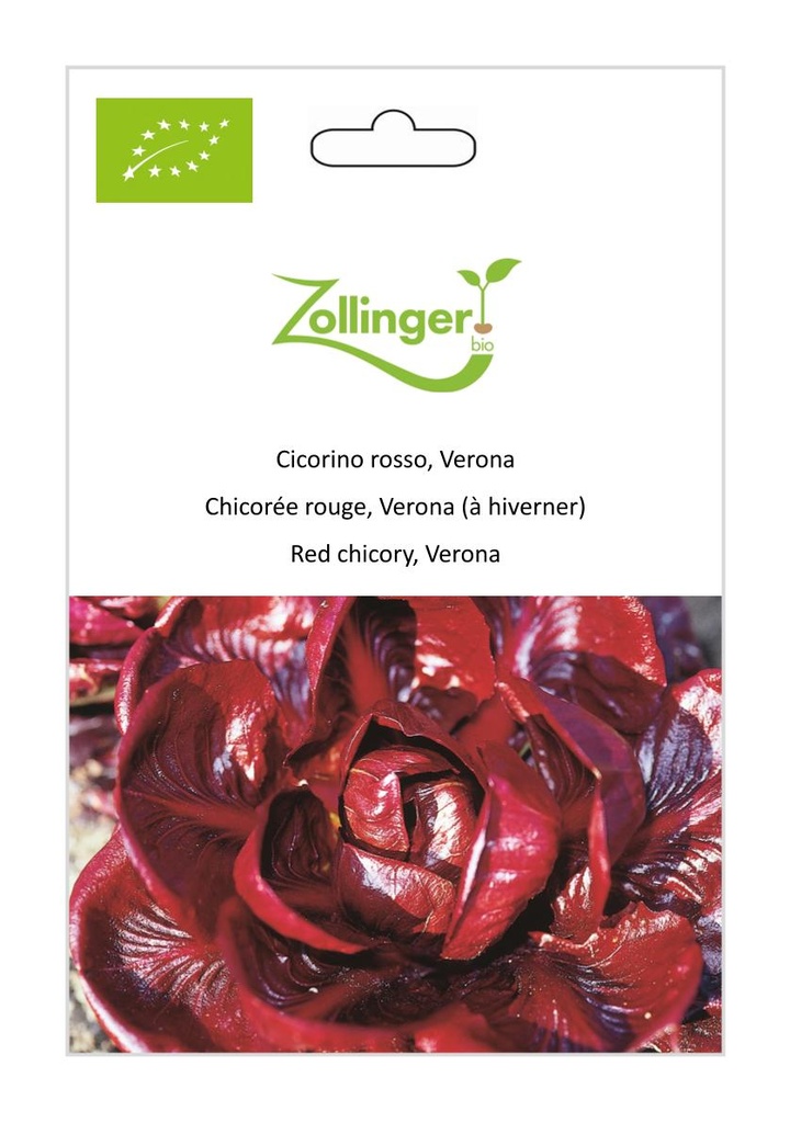 Graines de Chicorée Rouge de Vérone - Radicchio en sachet de 2 grammes