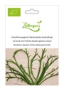 Corne de Cerf (Herbe étoilée) (plante vivace) sachet