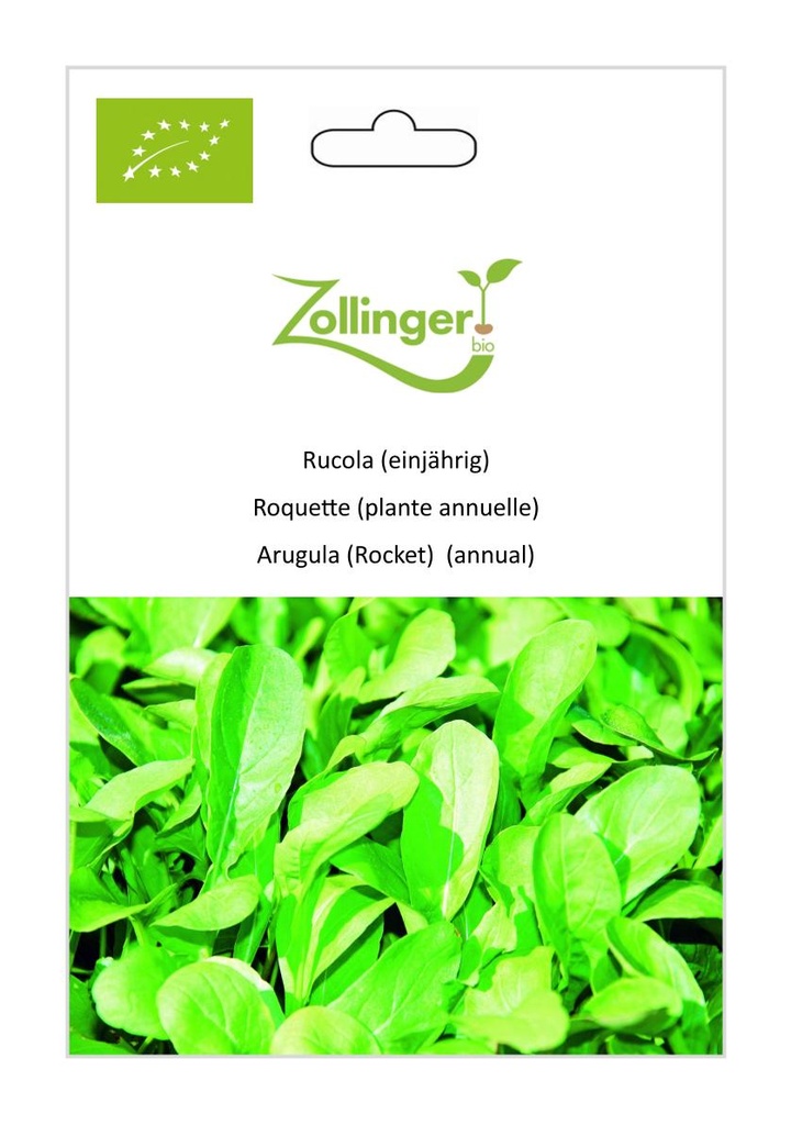 Roquette (plante annuelle) sachet