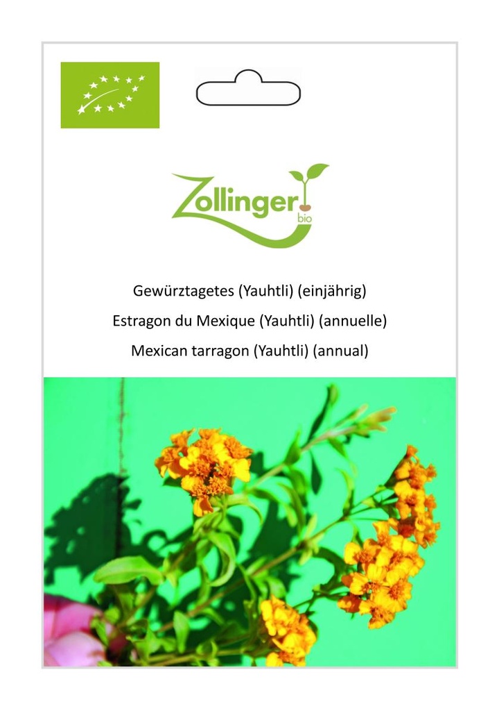 Estragon du Mexique (Yauhtli) (annuelle) sachet