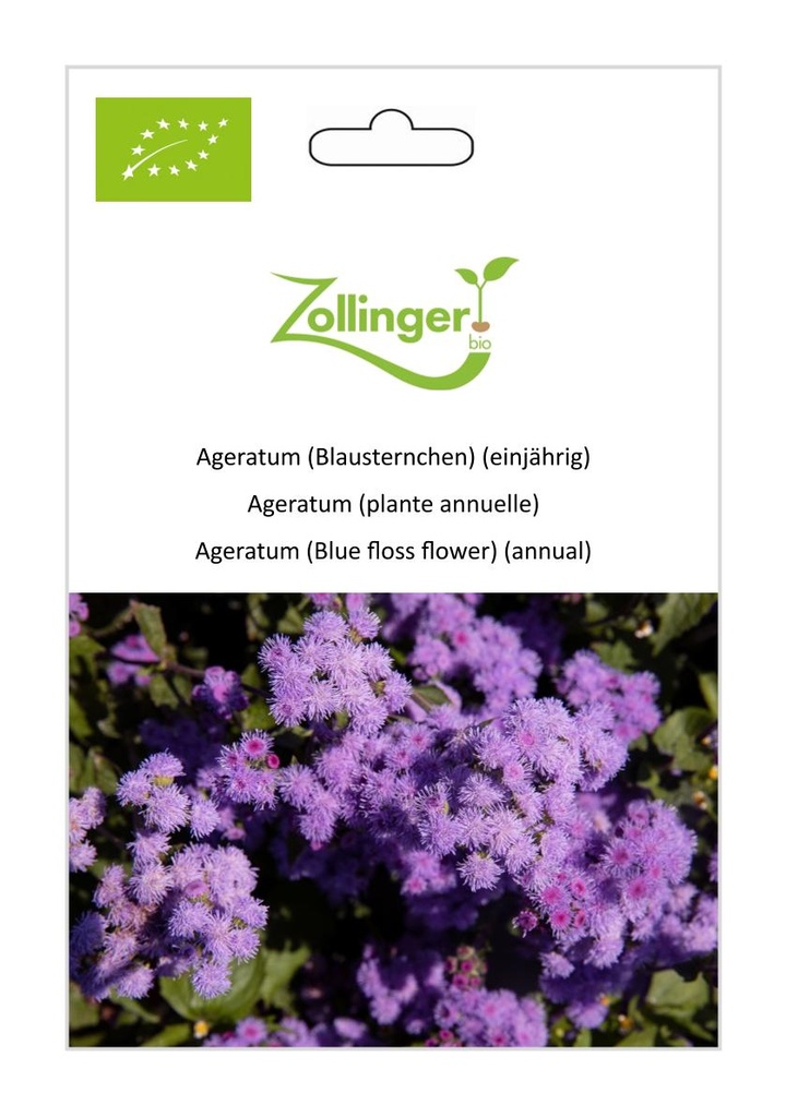 Ageratum (plante annuelle) sachet