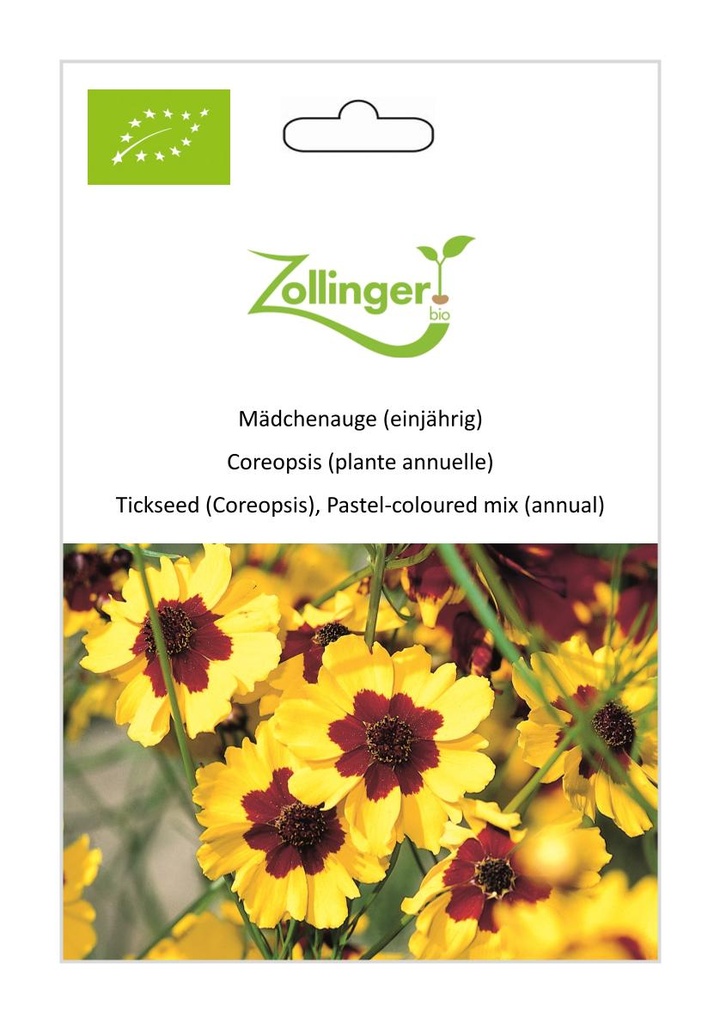 Coreopsis (plante annuelle) sachet