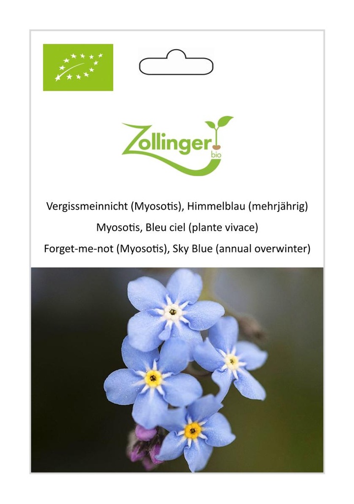 Myosotis, Bleu ciel (plante vivace) sachet