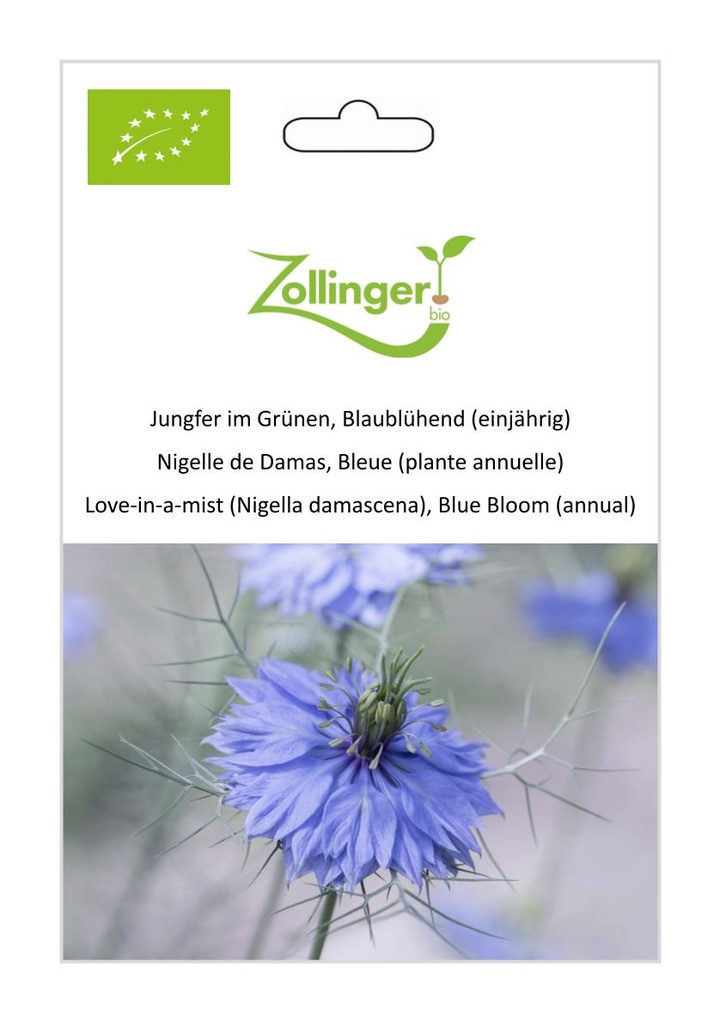 Nigelle de Damas, Bleue (plante annuelle) sachet