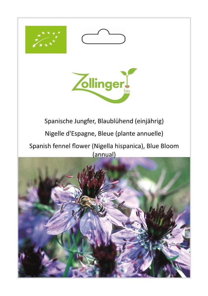 Nigelle d'Espagne, Bleue (plante annuelle) sachet