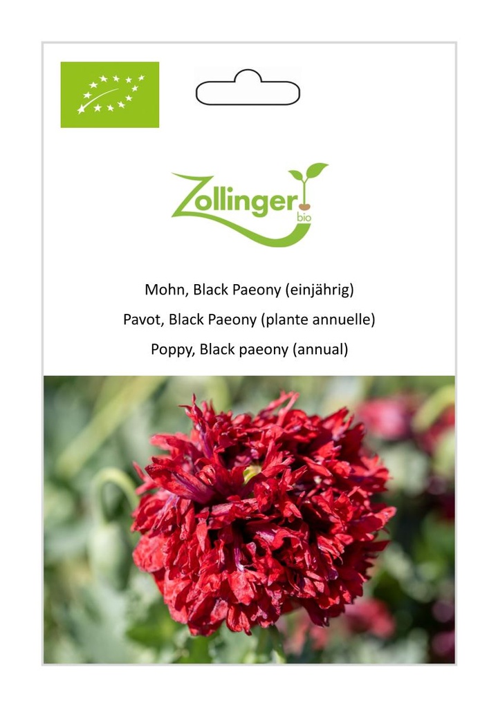 Pavot, Black Paeony (plante annuelle) sachet