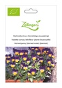 Violette cornue, Minifleur (plante bisannuelle) sachet
