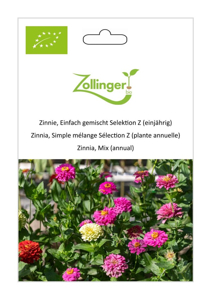 Zinnia, Simple mélange Sélection Z (plante annuelle) sachet