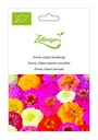 Zinnia, Lilliput (plante annuelle) sachet