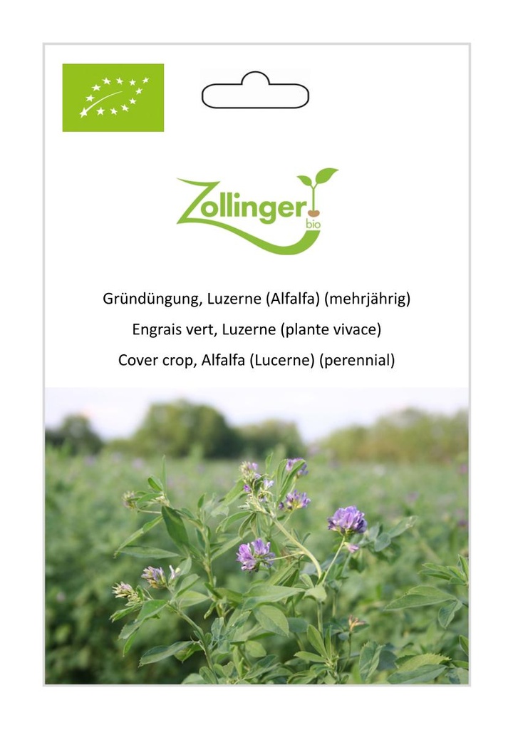Engrais vert, Luzerne (plante vivace) sachet