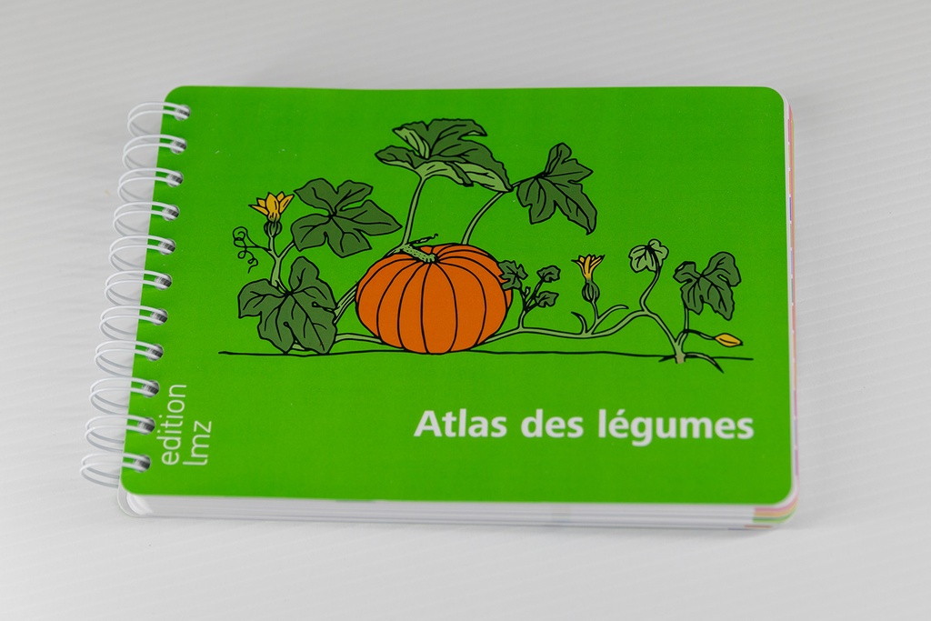 Atlas des légumes photo fond gris