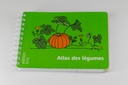 Atlas des légumes photo fond gris