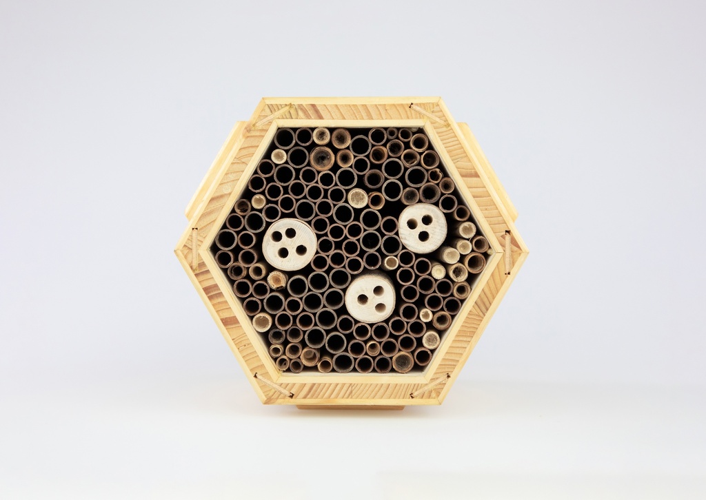Hôtel à insectes: abeilles sauvages photo fond gris