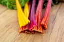 Côte de bette, Mélange multicolore