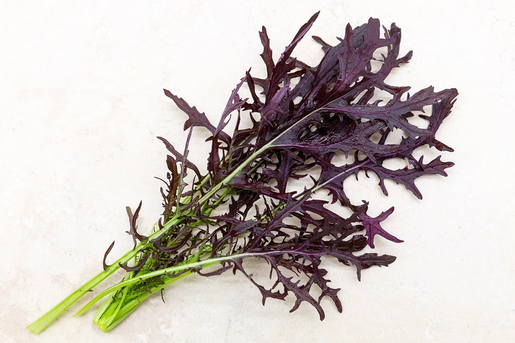 Légume Asiatique, Mizuna 'Corail Rouge'