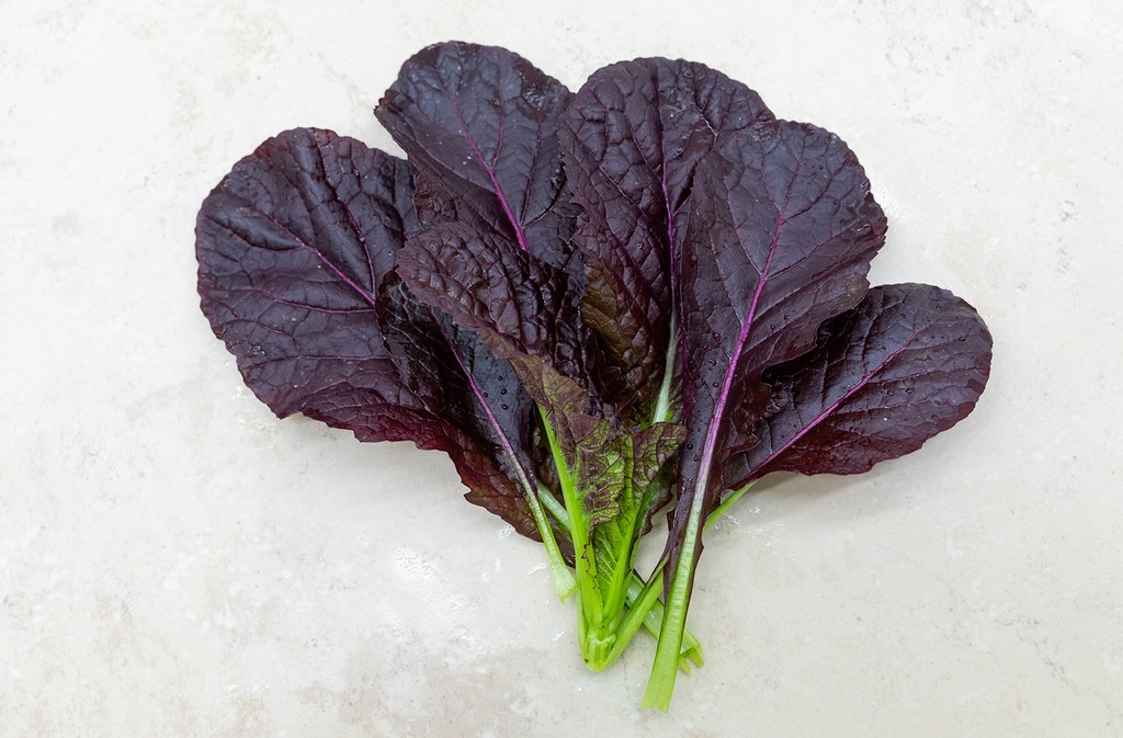 Légume Asiatique Moutarde 'Géant Rouge'