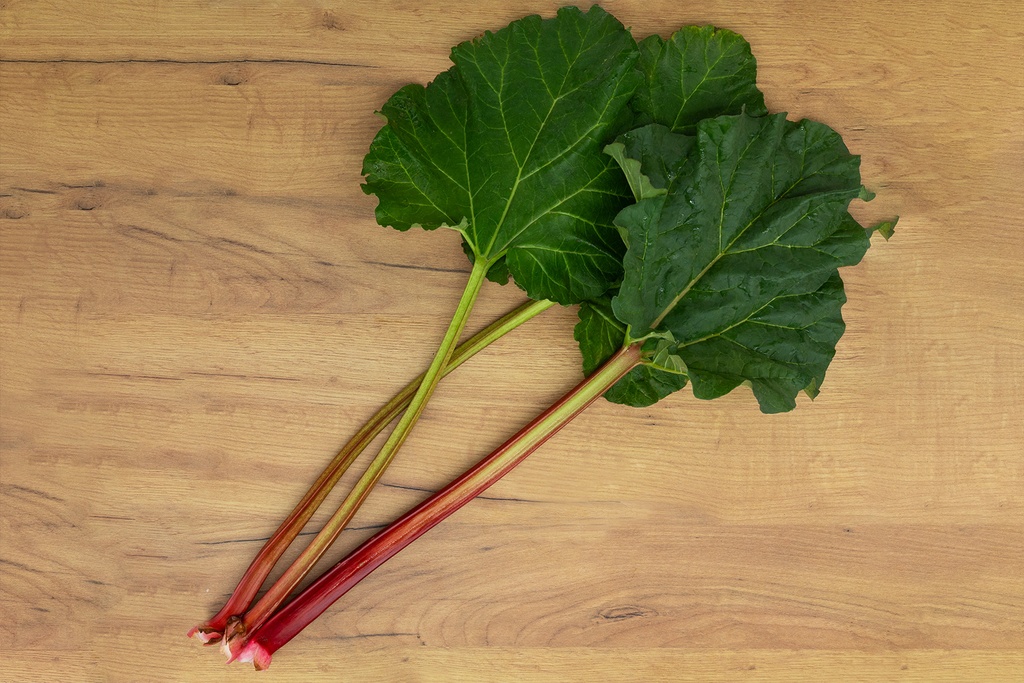 Rhubarbe 