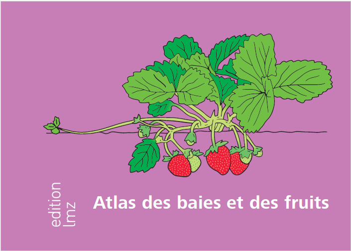 Atlas of berries and fruits - French