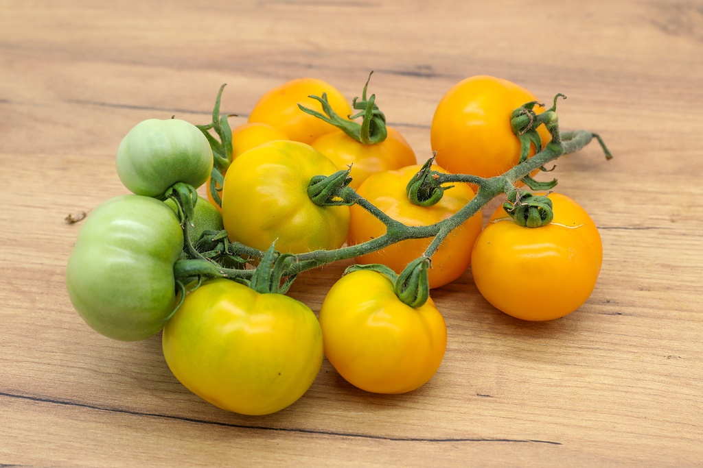 Strauchtomate, Gelb Golden, Sunrise 