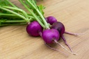 Radish, Purple