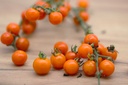 Mini-Tomate, Orange aus Bolivien