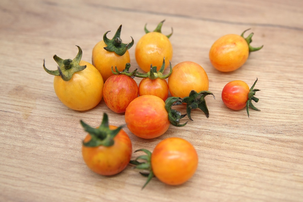 Pomodoro ciliegino, striato arancione