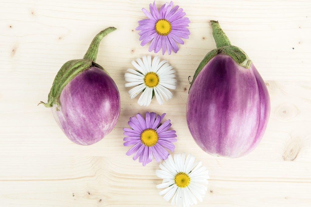 Eggplant, Ronda Sfumata