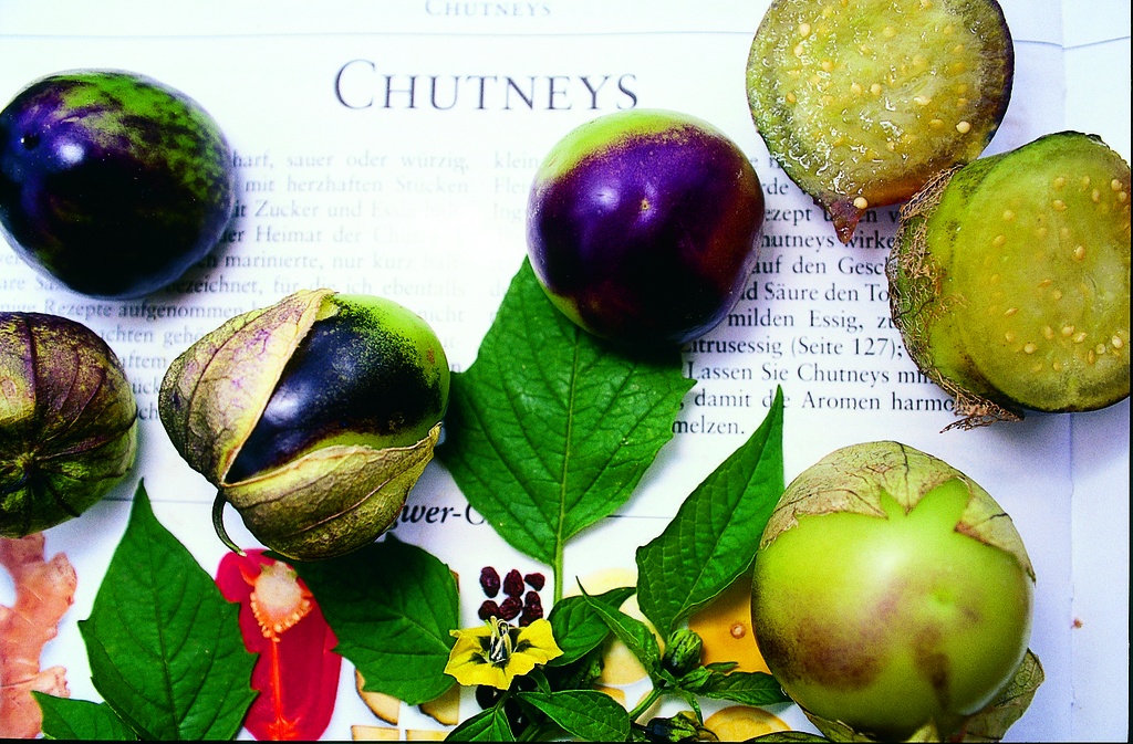 Tomatillo (Melanzana di montagna)